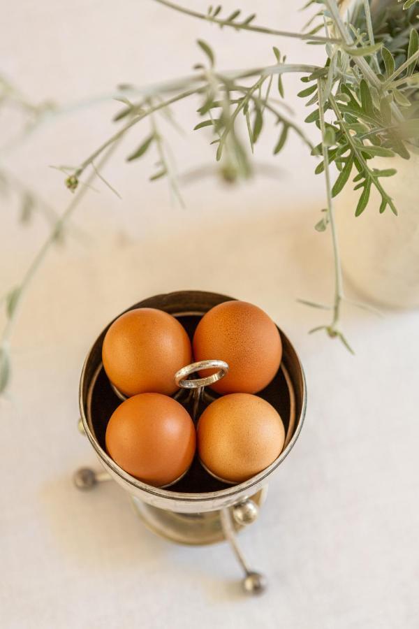 Guinea Fowl House 호텔 콤메티에 외부 사진